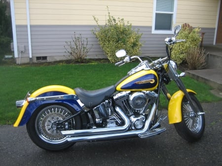 2005 Harley Davidson Fatboy - harley, fatboy, motorcycle, bike