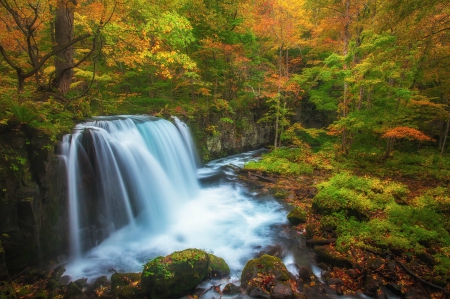 Autumn Waterfall - autumn, fall, trees, water, waterfall, rocks