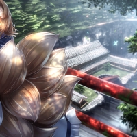 Tails Fox