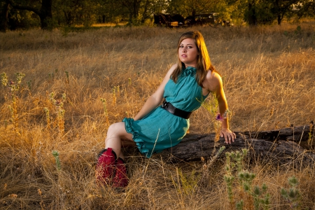 Country Girl - cowgirl, field, log, boots