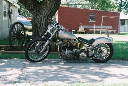 Harley Davidson - bike, motorcycle, cruiser, harley