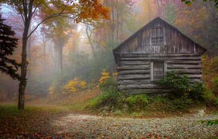 Autumn Cabin - misty, Autumn, Cabin, Colorful leaves