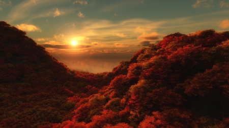 Trees - Autumn - fog, autumn, sunset, trees