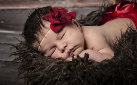 Sleeping beauty - red, flower, child, rose, cute, baby, sleep