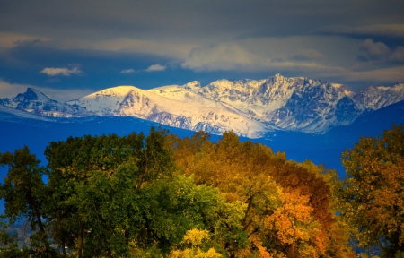 Mountains Forest - forest, mountains, trees, snow