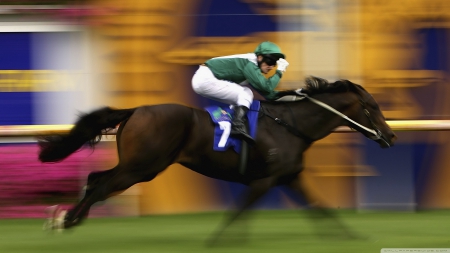 Horse Racing 2 - wide screen, equine, photography, racing, horse, horseracing, animal, jockey, photo