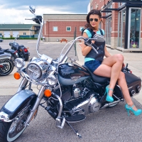 Harley Davidson