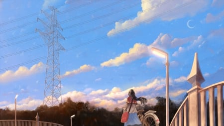 Going Home - Bike, Anim, Bag, Skirt, Brown Hair, Hair, Long, Girl, Evening, Long Hair, Park, Wallpaper, Brown, Lamp Posts