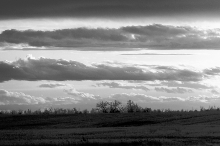 Stripes - alberta, sky, monochrome, prairies