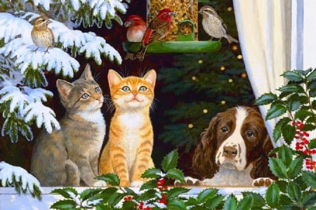 ..Pets in Christmas..