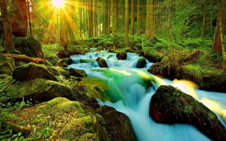 SUNLIGHT THROUGH the TREES - streams, landscape, sunlight, waterfalls, mountains, rocks, nature, forest, evening, beautiful, splendor, sunrays, tree, bright colors