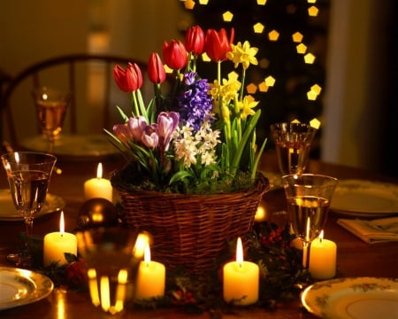 Lighted Candles - flowers, candle, lights, room