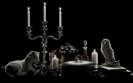 Still Life - owl, candle, Still Life, dark