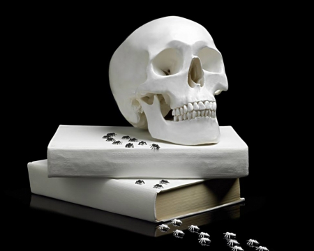 Still Life - skull, books, black, still life