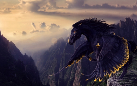 Dark Pegasus - art, horse, dark, wings, pegasus, fantasy, black