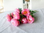 Pink Peony