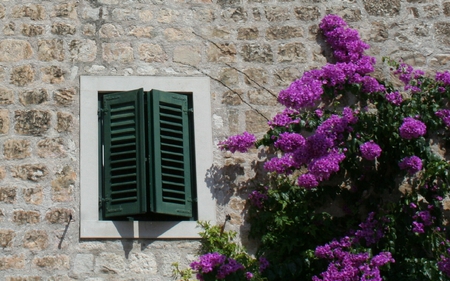 CROACIA Supetar Isla de Brac - flowers, window, croacia