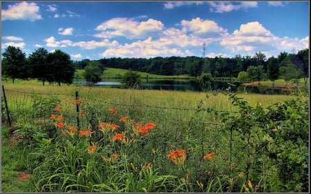 Lake Langley - lake, flowers, langley