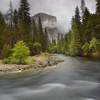 	El Capitan Spring   Yosemite National Park California