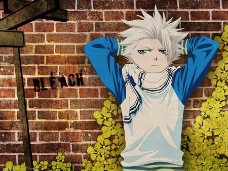 Toshiro - anime, toshiro, bleach, hitsugaya