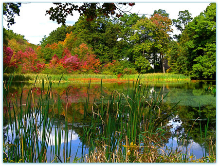 Lake - lakes, nature