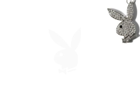 hanging playboy chain on ur desktop... - white, simple, playboy, chain