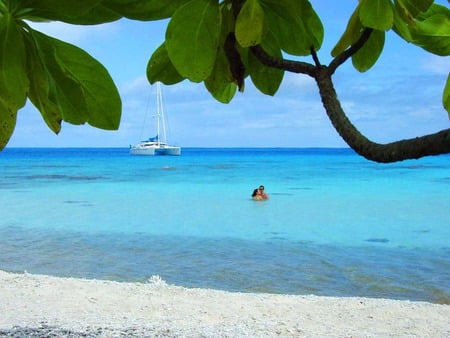 Luv in the Blue Lagoon - palms, lagoon, tropical, beach, lovers, catamaran