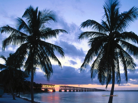 Sundown Palms - palms, island, tropical, bridge, sea