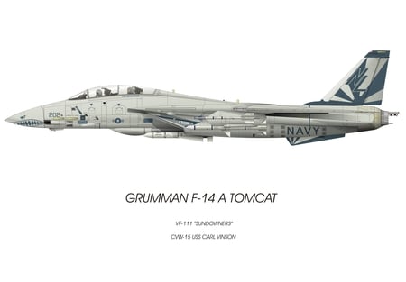 Tomcat Profile - fighter, jet, wing, carrier, recon