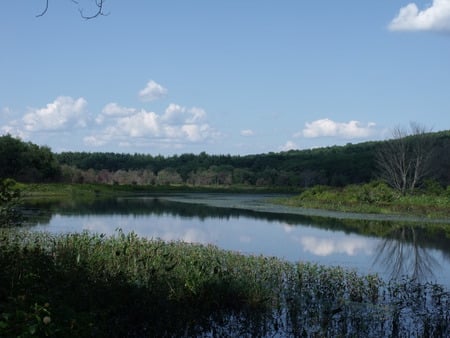 Peaceful Waters - trees, water, clouds