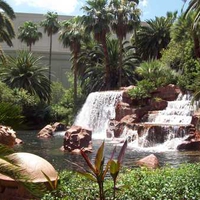 Waterfall In Vegas at the Mirage