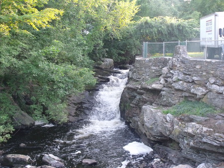 The Rush Of Love - grass, trees, water, rocks