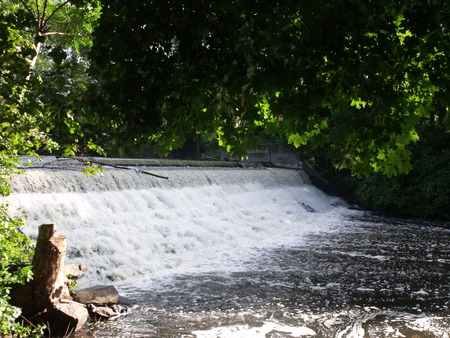 The Earth's Power - trees, water, rocks