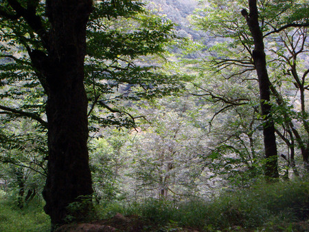 North of iran - iran, paradise