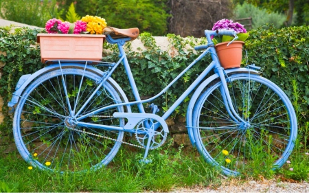 Bicycle - ride, bicycle, basket, flowers, grass