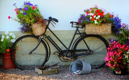 Bicycle - bicycle, basket, flowers, ride