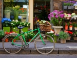 Flower Shop