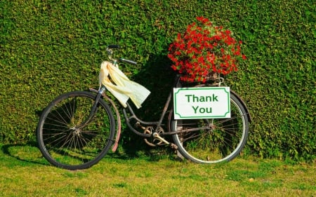 Thank You - flowers, bicycle, grass, note