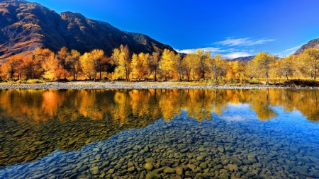 Autumn Trees - lake, mountains, reflection, leaves, trees, autumn