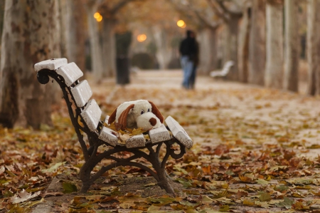 Good bye, childhood - autumn, bench, lover, couple, toy