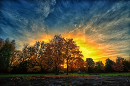 Autumn Sunset - clouds, trees, sunset, autumn