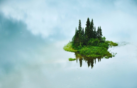 lonely island - lake, forest, cool, fun, nature