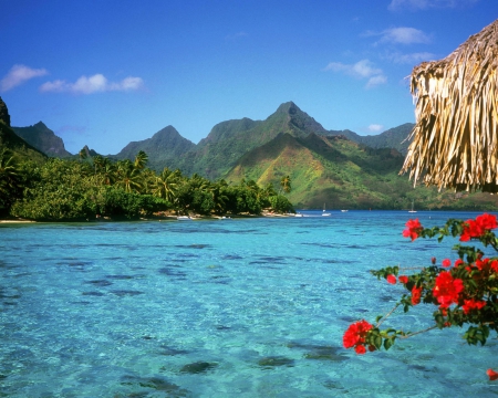 Beautiful Tropical View - tropical view, oceans, mountains, nature