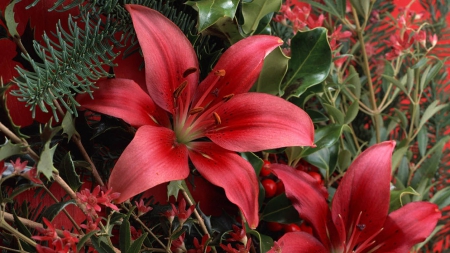 Flowers - flowers, beautiful, red, nature