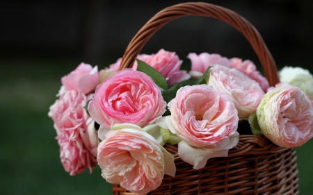 Basket of roses - Flowers & Nature Background Wallpapers on Desktop ...