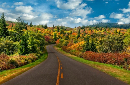 Autumn - colorful leaves, blue Sky, Autumn, Road