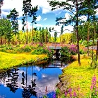 BRIDGE OVER the small FOREST