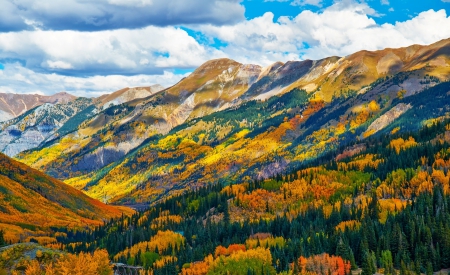 Colorado - fall, usa, landscape, clouds, leaves, trees, colors, autumn