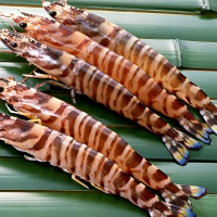 tiger prawn recipes