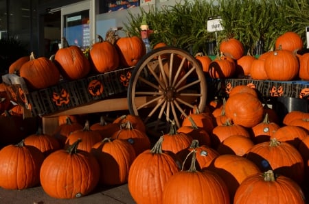 Pumpkins - halloween, harvest, cart, colors, seasonal